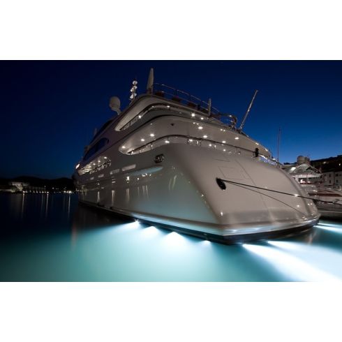 Great White 6 LED