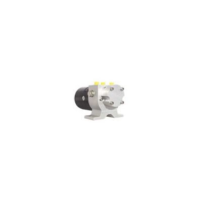 Type 3 Hydraulic Reversing Pump 12V