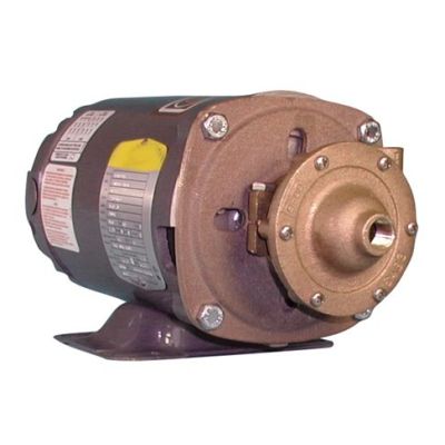 OBERDORFER 101M-F13 Centrifugal Pump