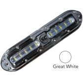 Great White 10 LED