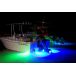 7" Round Bimini Blue Light