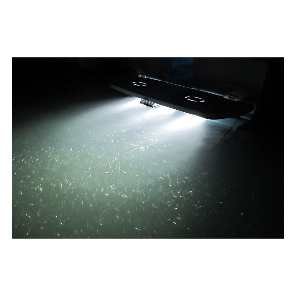 Pontones De Acero Inoxidable Pactrade Marine Con 39 LEDs Blancos Subacuáticos | Kit De 2 Unidades