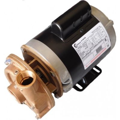 Bomba P3000BXT - 115/230V - 50/60 HZ