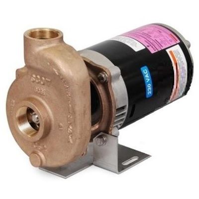 Bomba P1500BXT - 1320 GPH (4996 LPM), 115/230 V, 1 FASE