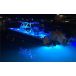 Shadow Caster SCR-24 Underwater LED Lights - RGB Full Color Changing - Up to 10,000 Lumnes