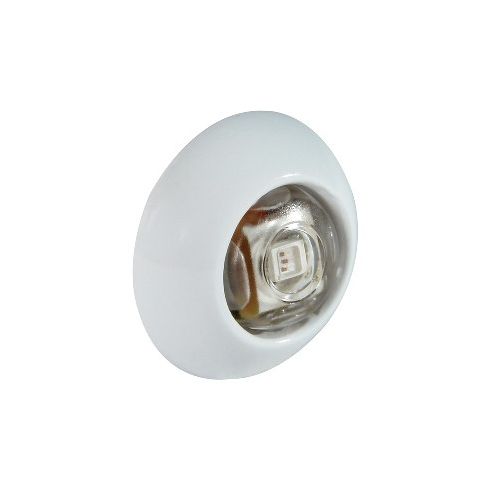 Exuma Courtesy Light - Polished Stainless Housing - White Light