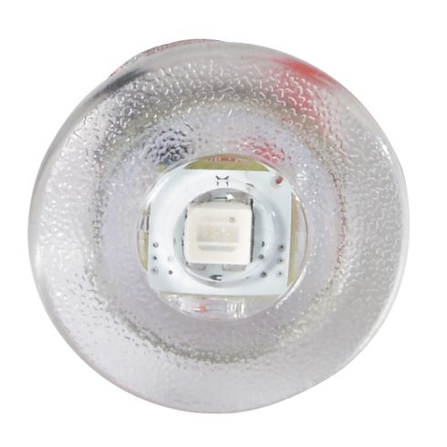 Exuma Courtesy Light - Polished Stainless Housing - White Light Exuma Courtesy Light - Polished Stainless Housing - White Light