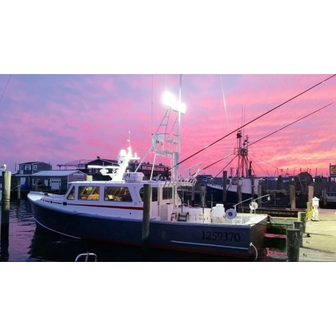 DuraBrite Gen 2 Pro Series 75,000 Lumen Marine LED Floodlight DuraBrite Gen 2 Pro Series 75,000 Lumen Marine LED Floodlight