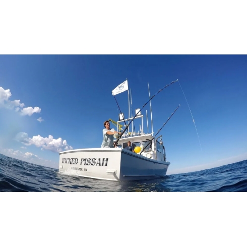 DuraBrite Gen 2 Pro Series 75,000 Lumen Marine LED Floodlight DuraBrite Gen 2 Pro Series 75,000 Lumen Marine LED Floodlight