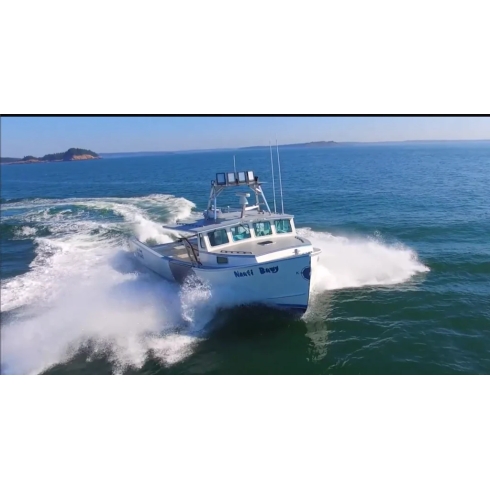DuraBrite Gen 2 Pro Series 75,000 Lumen Marine LED Floodlight DuraBrite Gen 2 Pro Series 75,000 Lumen Marine LED Floodlight