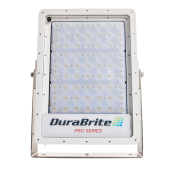 DuraBrite Amber Pro 50,000...