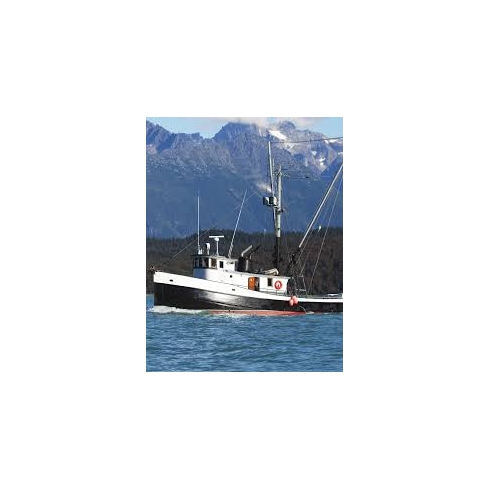 Michigan Trawler Propeller - Legacy Series Michigan Trawler Propeller - Legacy Series