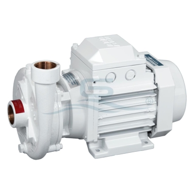 Gianneschi CB 40-110 Centrifugal Pump 230V 50Hz 1Ph 0.75kW