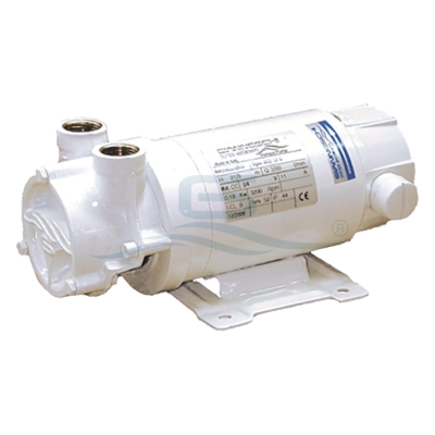 Gianneschi ACB80 E Self-Priming Pump 24V DC 0.37kW