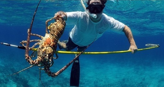 Florida Keys Lobster Spots Map UPDATED - FL FISHING SPOTS 