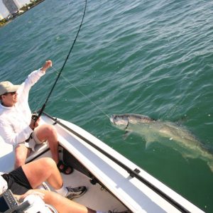Best fishing spots in Miami