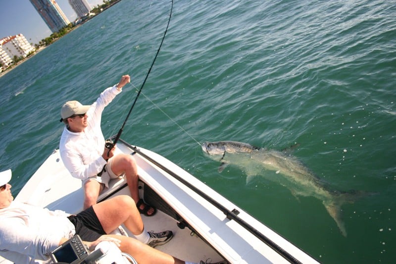 Best fishing spots in Miami