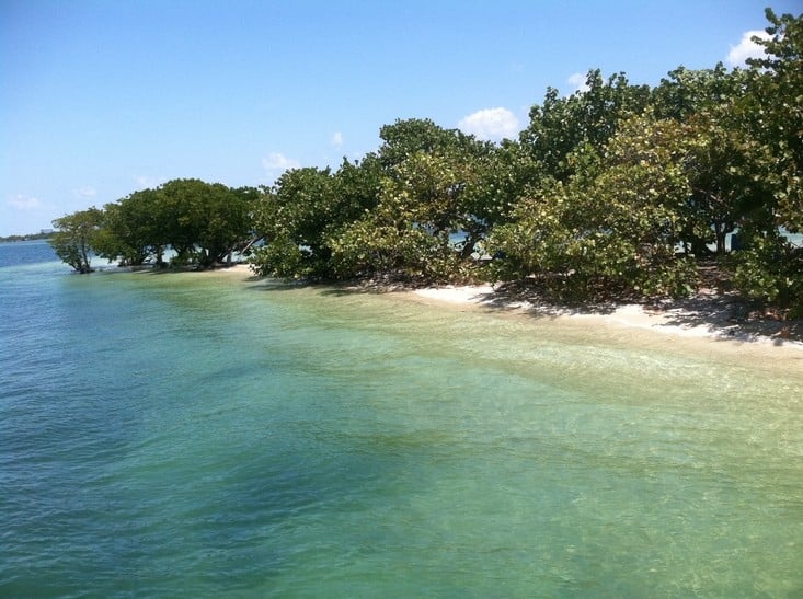 Miami-Dade fishing locations