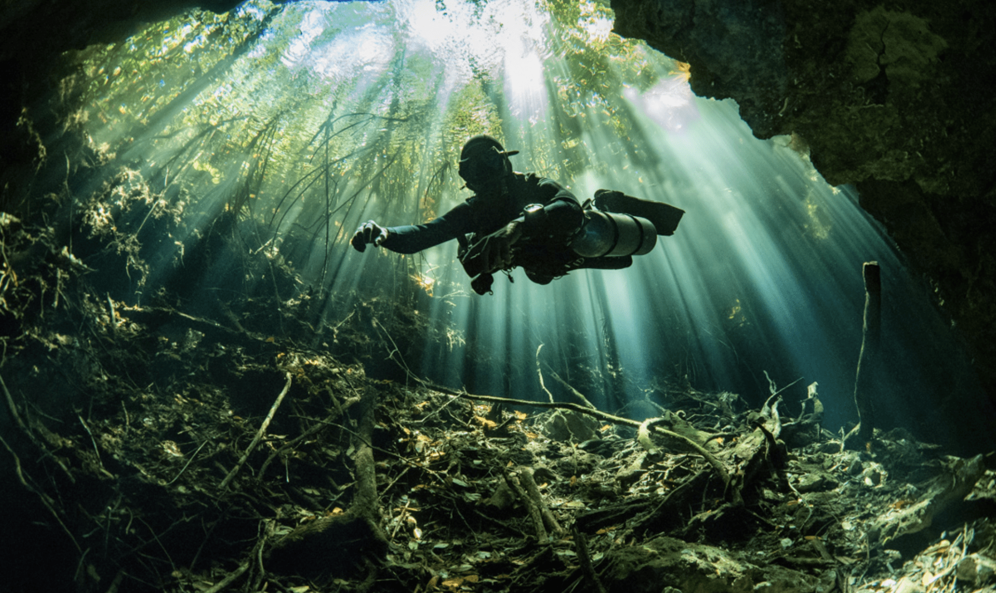 Diving in the Great Blue Hole, Belize