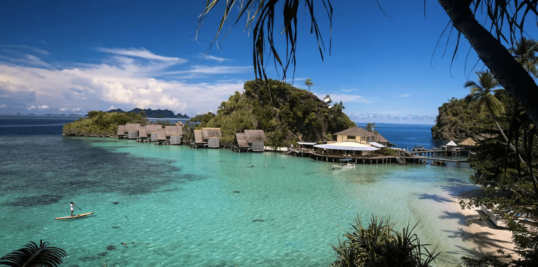 Diving in Raja Ampat Indonesia