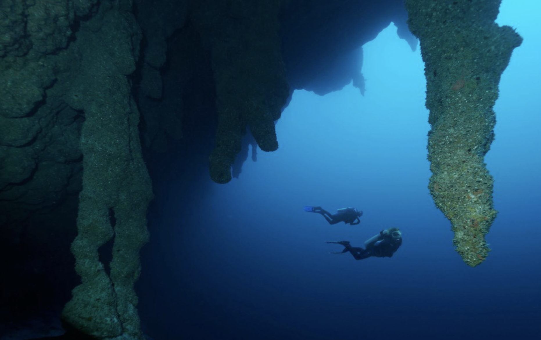 Diving in the Great Blue Hole, Belize