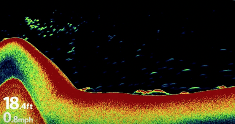 How to read bottom structure on sonar