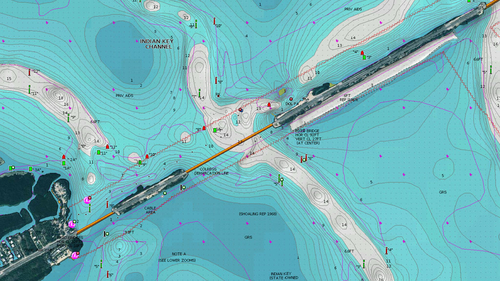 Raymarine Navionics Charts