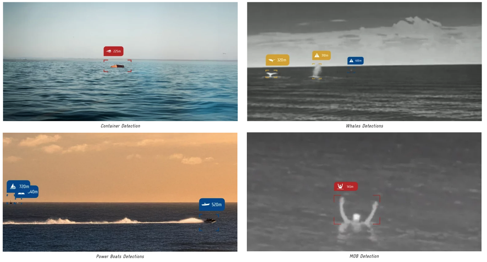 AI Sentry Detections