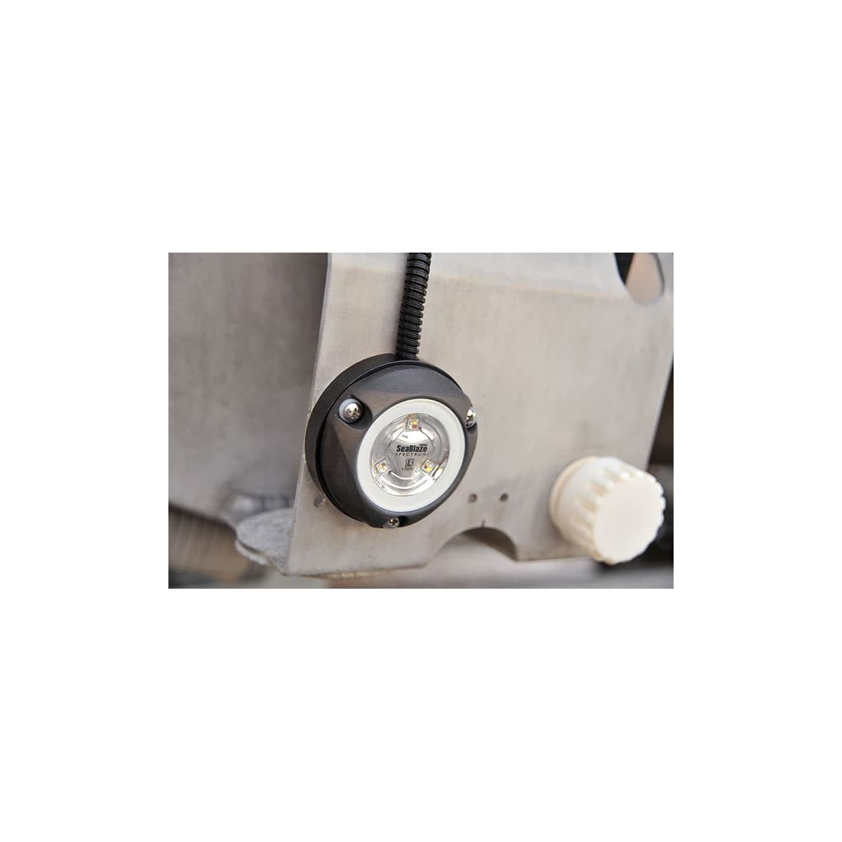 LUMITEC Zambezi Mini Surface Mount Underwater Light, Blue Non