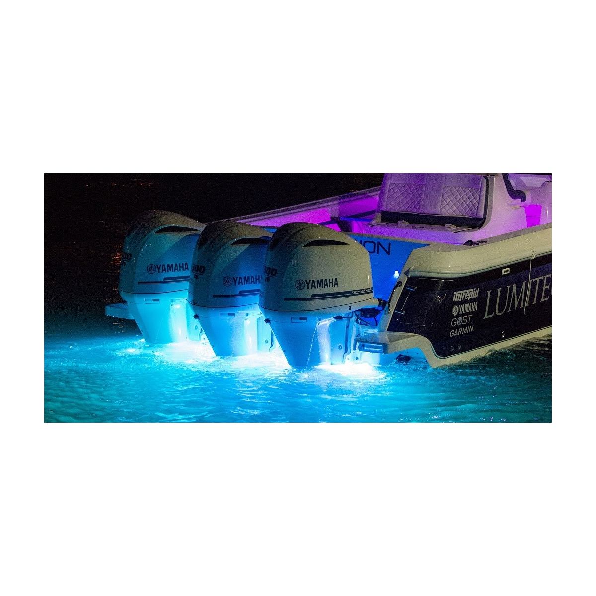 LUMITEC SeaBlaze Quattro LED Underwater Light | Dual Color White/Blue