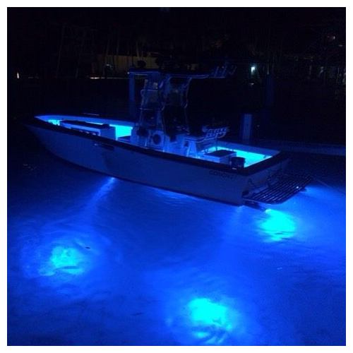 Shadow Caster SCR-24-BW-BZ-10 - Blue and White Color Changing