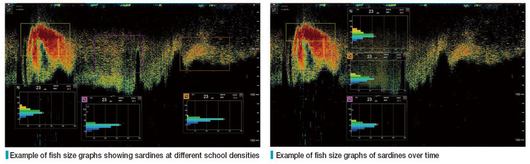FURUNO_FCV2100_FishSize_in_3_locations FURUNO_FCV2100_FishSize_in_3_locations