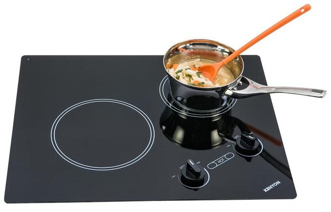 Kenyon Arctic 21 in. Radiant Electric Cooktop in Black with 2-Elements 240-Volt