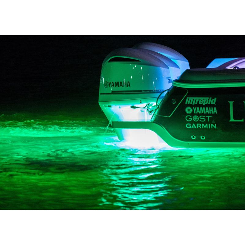 LUMITEC SeaBlaze X2 LED Underwater Light | Lumitec 101515